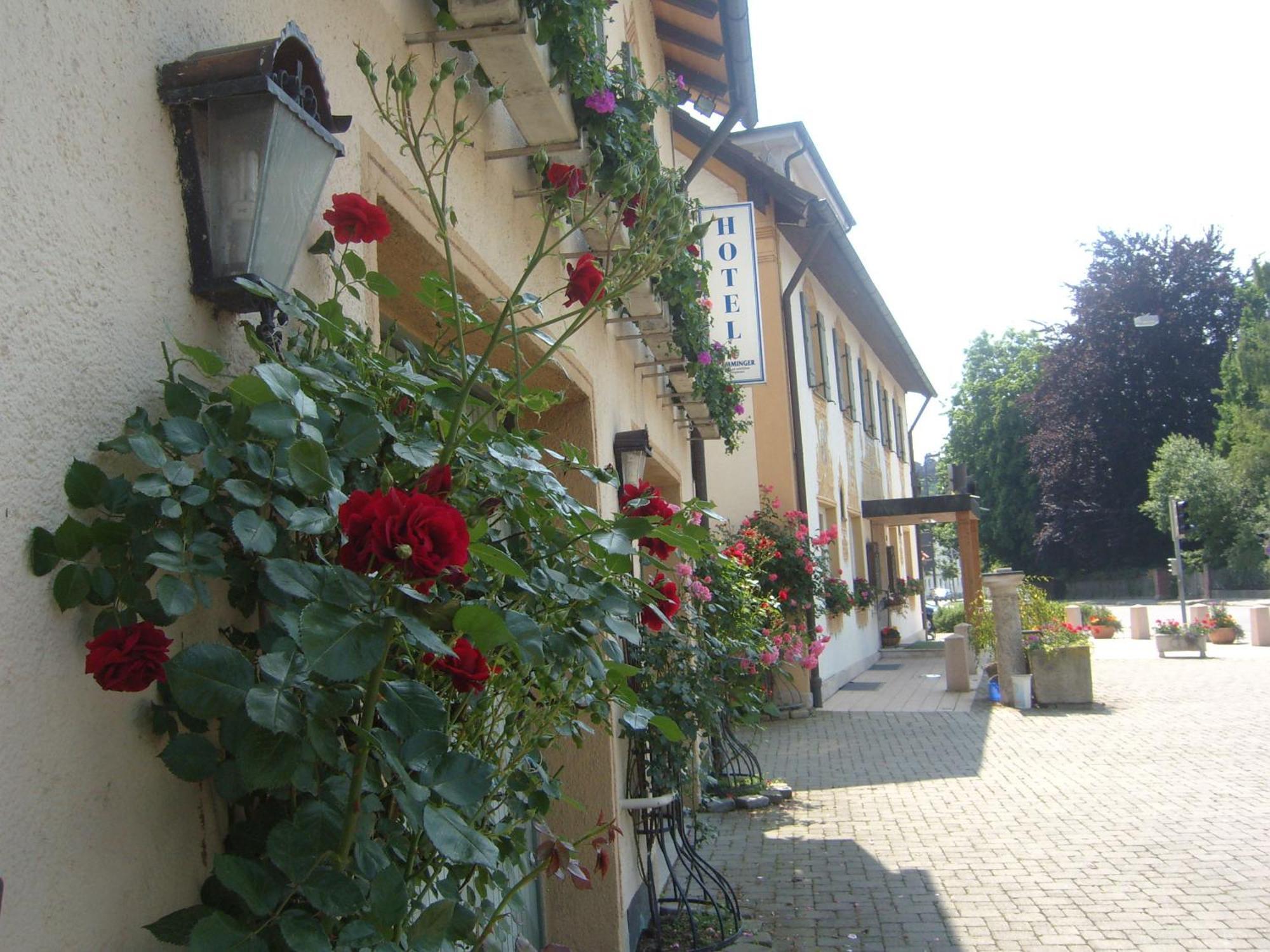 Hotel Gasthof Stern Mindelheim Exterior photo